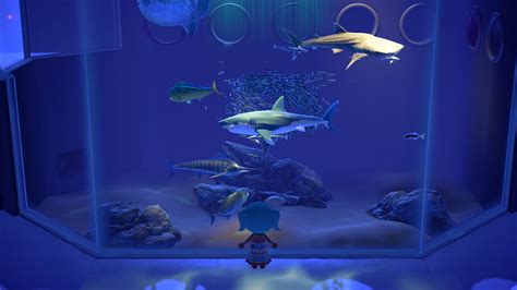 acnh fish|Animal Crossing New Horizons: All fish spawns, locations.